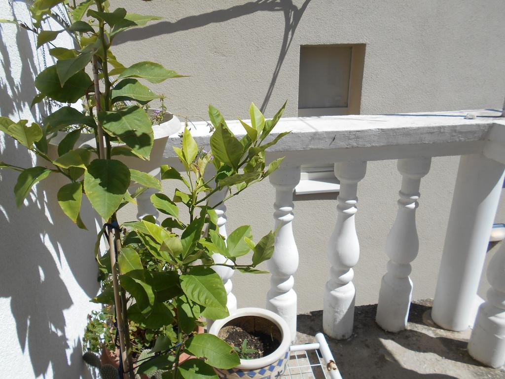 Apartments Ema شيبينيك المظهر الخارجي الصورة