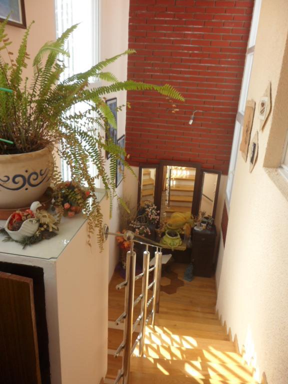 Apartments Ema شيبينيك المظهر الخارجي الصورة